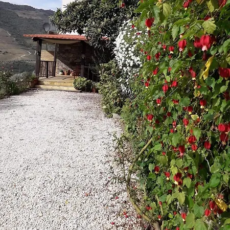 Tomas Barqueiro Maison d'hôtes Folgosa (Viseu)