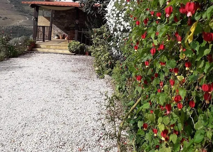 Tomás Barqueiro Affittacamere Folgosa (Viseu)